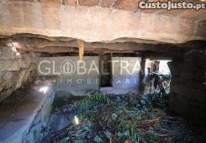 imagem_22