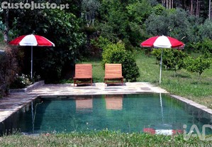 imagem_11