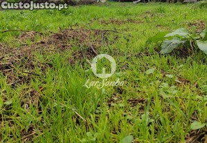 imagem_9