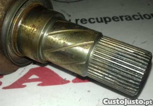 imagem_5