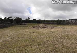 imagem_8