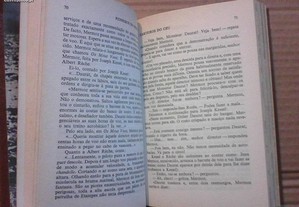 imagem_8