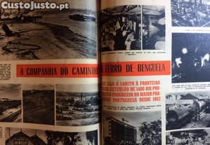 imagem_8