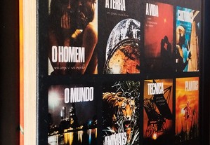 imagem_11