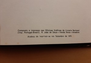 imagem_10