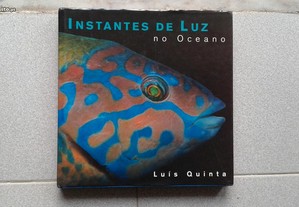 Instantes de Luz no oceano - Luís Quinta