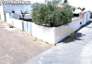 imagem_12