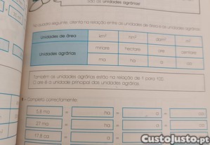 imagem_7