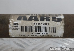 imagem_4