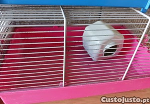imagem_3