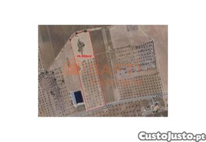 Terreno Em Reguengos De Monsaraz -2,60Ha