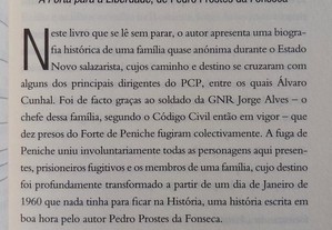imagem_7