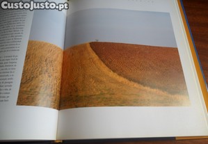imagem_10