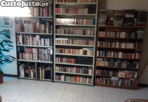 imagem_8