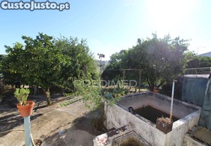 imagem_27