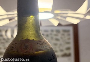 imagem_6