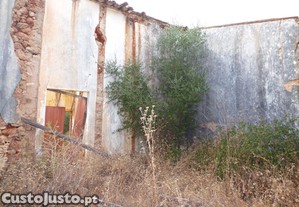 imagem_10