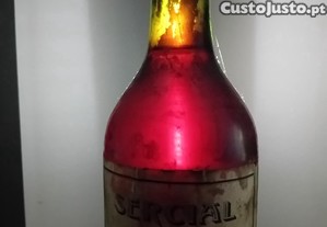 imagem_5
