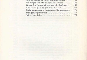 imagem_8