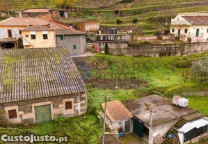 imagem_12