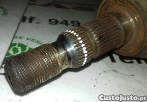 imagem_3