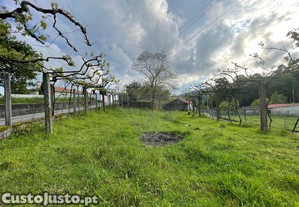 imagem_9