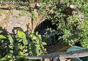 Terreno Agrícola em Budens