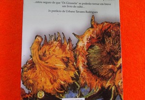 imagem_6