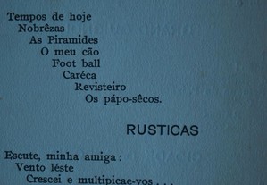 imagem_8