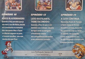 imagem_10