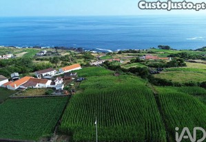 Terreno Agrícola em Ribeiras