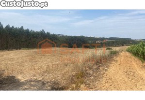 Terreno Rústico De 37.000 M2 Localizado Na...