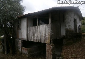 imagem_7