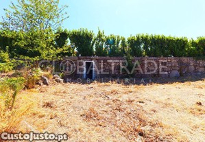imagem_13