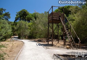 imagem_31