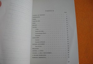 imagem_7