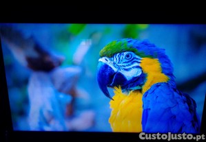 Smart tv Samsung de 55 polegadas, 4K QLED