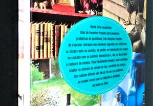 imagem_4