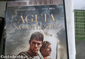 imagem_7