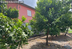 Casa T2 em Rendufinho de 200,00 m