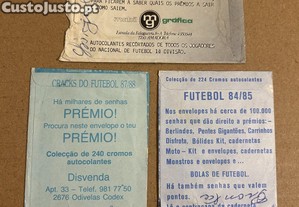 imagem_2