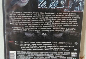imagem_7