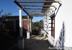 imagem_29
