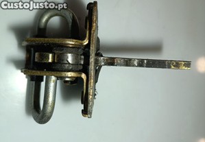 imagem_1