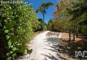imagem_33
