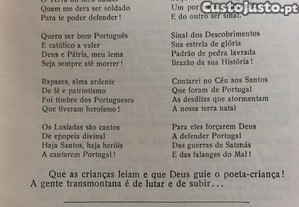 imagem_4