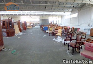 imagem_14