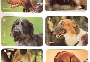 Coleção completa e numerada de 12 calendários sobre Raças de cães 1993