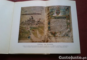 imagem_3