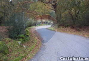 Terreno, Viana do Castelo, Ponte da Barca